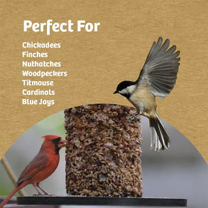 Cardinal and chickadee at a seed cylinder feeder, with a list of birds including finches, nuthatches and woodpeckers.