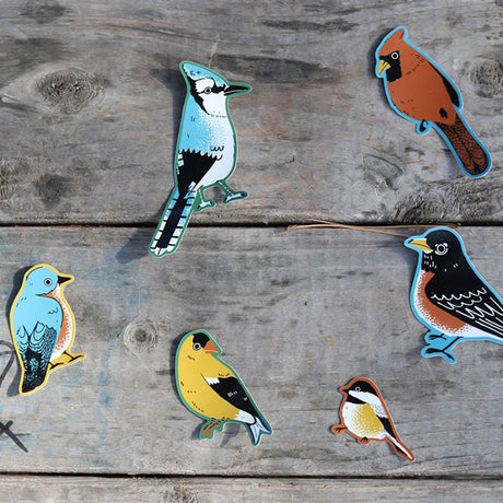 Bird Collective Backyard Birds Jumbo Sticker Pack featuring detailed stickers of various bird species on a wood surface, perfect for decorating laptops, water bottles, and more.