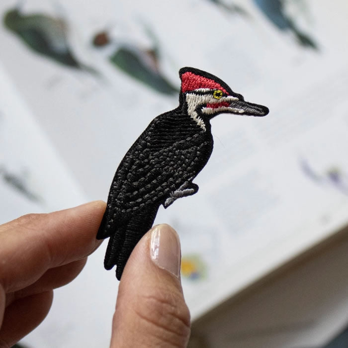 A hand holds the Bird Collective Pileated Woodpecker Patch, showcasing its detailed embroidery and iron-on backing for easy attachment.