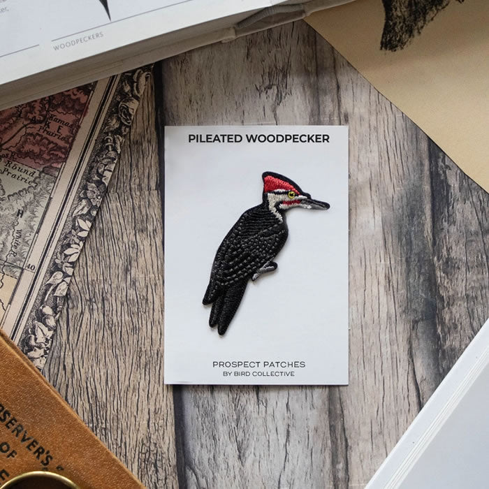 Bird Collective Pileated Woodpecker Patch showcasing intricate embroidery of a woodpecker with a red head, designed for easy iron-on attachment to clothing or accessories.