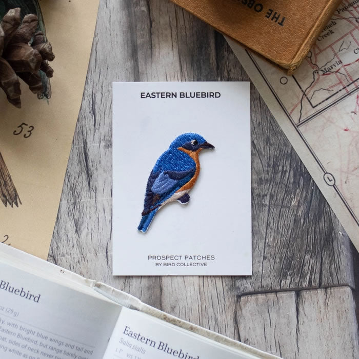 Bird Collective Eastern Bluebird Patch: Exquisitely embroidered bluebird patch on a white card, perfect for adorning accessories. Includes iron-on backing, measures 1.6 x 2 inches.