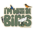 Bird Collective I'm With The Birds Sticker featuring illustrated birds and text, designed for water bottles, laptops, and cars. Eco-friendly and weather-resistant.