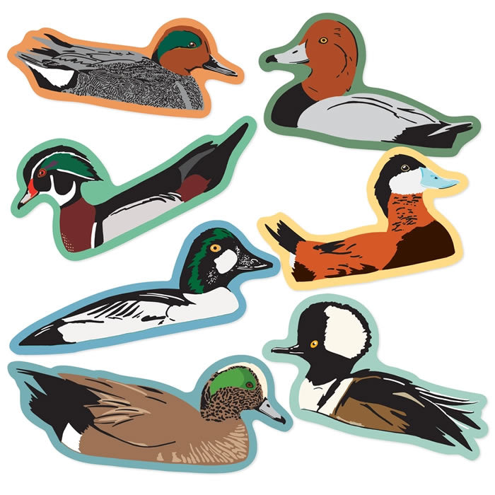 Bird Collective Ducks Sticker Pack featuring seven illustrated duck species, perfect for decorating water bottles, laptops, and notebooks. High-quality, waterproof vinyl stickers.