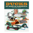 Bird Collective Ducks Sticker Pack featuring seven waterproof vinyl stickers of various North American duck species, perfect for decorating water bottles, laptops, and notebooks.