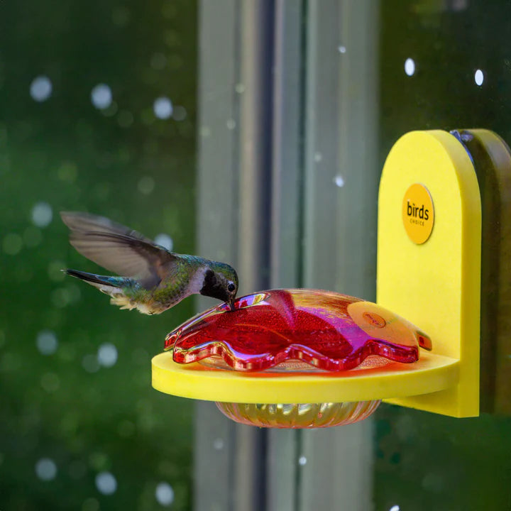 Window Mount Hummingbird Feeder, Yellow, with a red cover, attached to a window as a hummingbird drinks from its feeding port.