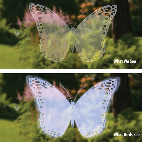 Duncraft Bird-Safe® Butterfly Window Strike Decals: set of 6 translucent butterfly decals with white outlines, designed to prevent bird collisions without obstructing your view.