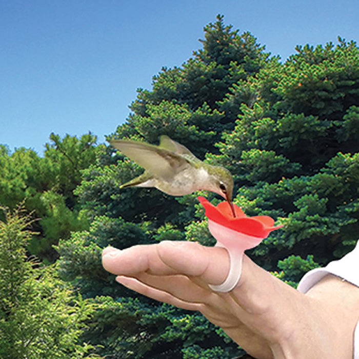 Hummer Ring® Feeder: A hummingbird drinks from a red flower-topped ring worn on a hand, featuring a clear plastic design.