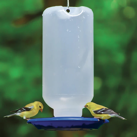 80 oz. Water Station with a clear plastic reservoir and blue tray, featuring American goldfinches perched and feeding, highlights its easy-clean design and wide mouth opening.