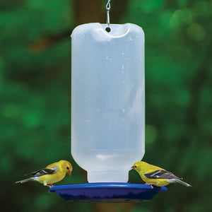 80 oz. Water Station with clear reservoir and blue dish, hanging from a bird feeder, attracting various birds.