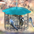 Squirrel Defeater Double Suet Cage Feeder with small birds perched, featuring 1-1/2 inch wire openings and a decorative locking roof.