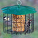 Squirrel Defeater Seed Log Feeder with green-topped metal cage, holding seeds and suet, attracting chickadee and downy woodpecker while blocking squirrels.