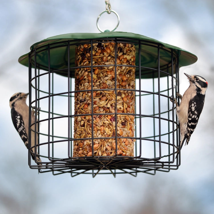 Squirrel Defeater Seed Log Bird Feeder