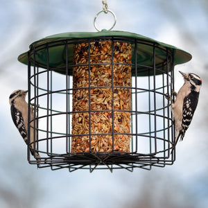 Squirrel Defeater Seed Log Bird Feeder