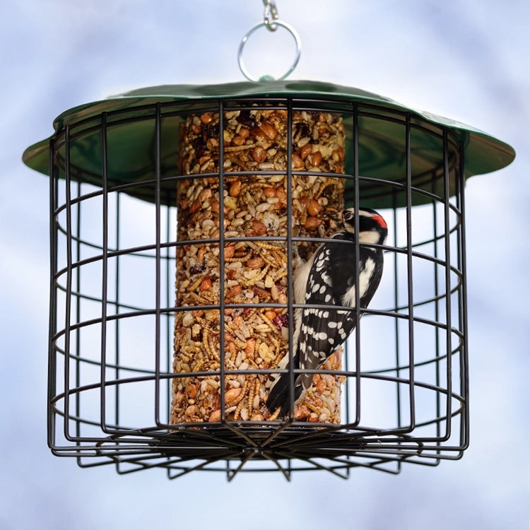 Squirrel Defeater Seed Log Bird Feeder