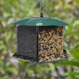 Triple Option Bird Feeder with two clear compartments, filled with sunflower seeds and mixed nuts, features perches for birds, attracting diverse species.