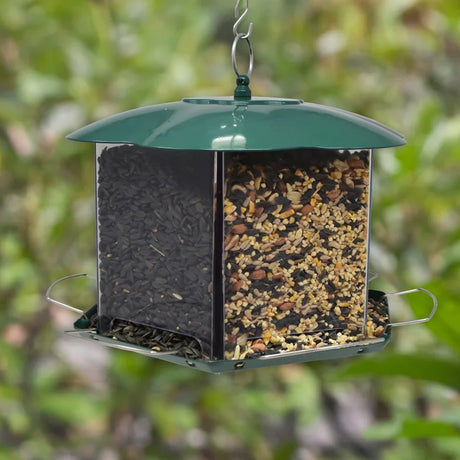 Triple Option Bird Feeder with two clear compartments, filled with sunflower seeds and mixed nuts, features perches for birds, attracting diverse species.