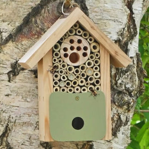 Bee Barn Bee Nester on a tree, designed to house solitary bees, made from FSC-certified wood with a recycled plastic front.