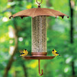 Do Birds Come to Feeders in the Rain? Surprising Facts Revealed