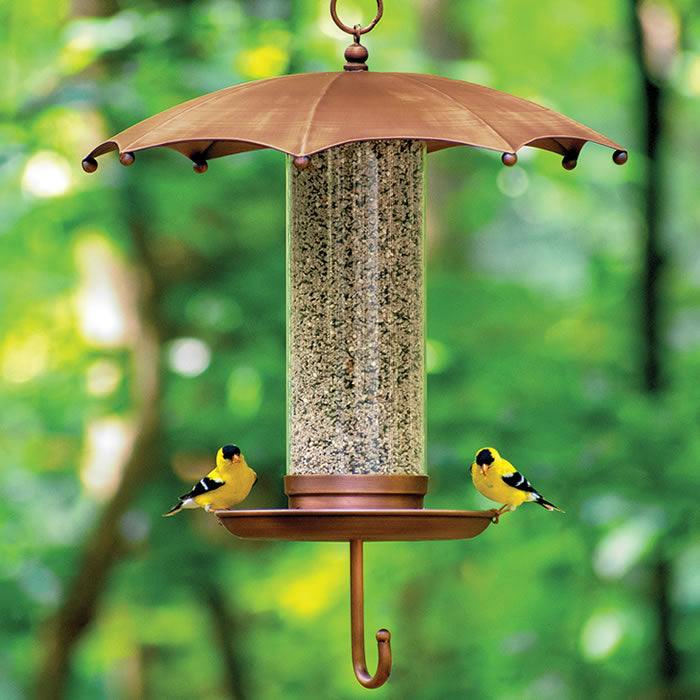 Rainy Day Umbrella Bird Feeder with copper finish, holding birds on a protected feeder.