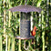Umbrella Bird Feeder, Mesh: A close-up of a bird feeder with a copper-plated umbrella, showing a red bird feeding from the durable mesh tube.