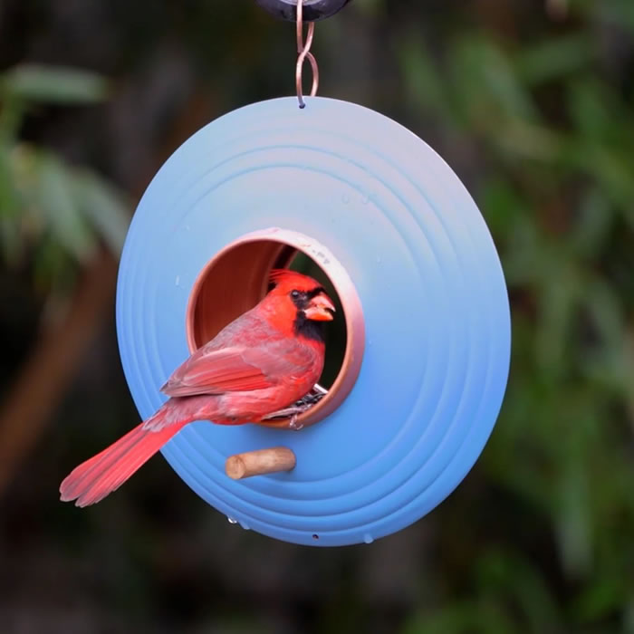 Round Fly-Thru Bird Feeder with copper finish, featuring large perches, drainage holes, and an easy-fill design. Holds 1.5 pounds of seed.