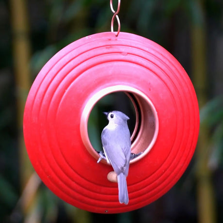 Round Fly-Thru Bird Feeder with copper finish ring, featuring large perches and drainage holes. Durable and easy to fill, designed to attract birds to perch inside.