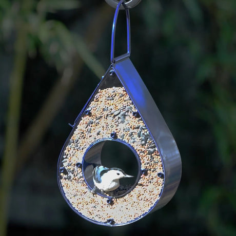 Teardrop Fly-Thru Feeder, Blue, with a bird perched inside. Durable plexiglass panels and easy-fill side panel. Holds 3 lbs. of seed.