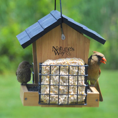 Bamboo 3QT Hopper Bird Feeder with Suet, featuring a suet-seed combo, feeding a Northern Cardinal and a finch, showcasing its spacious design for larger birds.