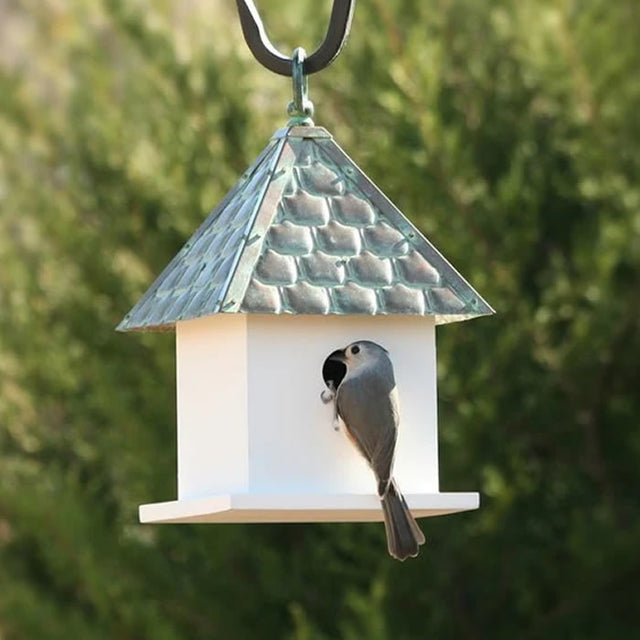 Bird House Bungalow with Shingled Verdigris Roof, featuring a bird perched on the white-painted hardwood base, designed with a perch-less entry and air vents.