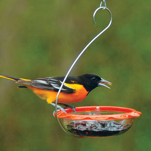 BO's Marmalade Hanging Oriole Feeder features a clear plastic dish with an orange rim, stainless steel hanging wire, and a central skewer for holding fruit treats.