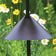 18 Squirrel Baffle: Cone-shaped, black metal baffle designed to prevent squirrels from climbing bird feeder poles. Durable, easy to install with included hardware.
