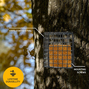 Vinyl-coated steel block cage mounted on a tree with a suet cake inside, highlighting construction and mounting screws.