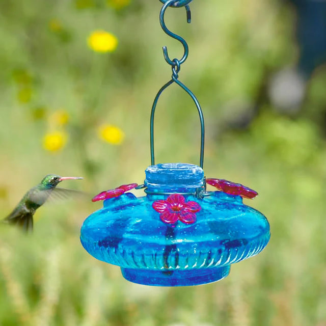 Aqua Bloom Hummingbird Feeder with red-glass flower ports, featuring an aqua glass body, and a wrought-iron hanger.