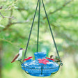 Bloom Perch Hummingbird Feeder, Aqua, with red flower feeding stations, a blue jar, and tiny perches, hanging with birds feeding.