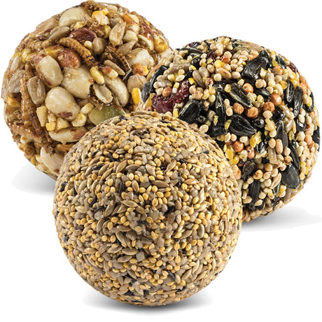 Duncraft Wild Bird Seed Ball Variety Pack, 18 Balls: Assorted seed balls with nuts, berries, and insects, designed to attract various bird species.