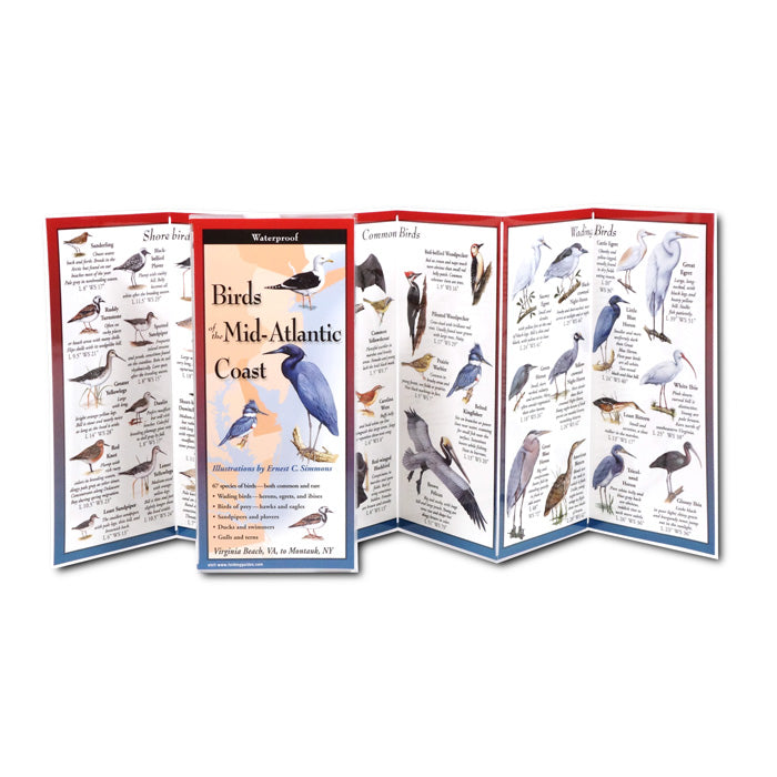 Portable birding guide, Birds of the Mid-Atlantic Coast, featuring illustrations of various birds, fold-out panels, and a waterproof design for easy bird identification.