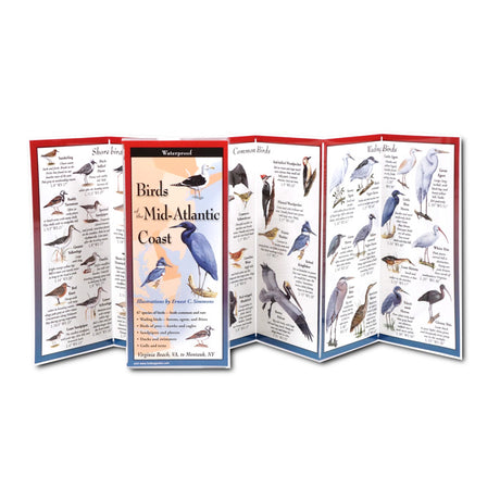 Portable birding guide, Birds of the Mid-Atlantic Coast, featuring illustrations of various birds, fold-out panels, and a waterproof design for easy bird identification.