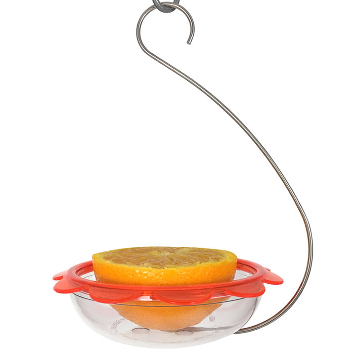 BO's Marmalade Hanging Oriole Feeder with stainless steel wire, clear plastic dish, orange rim, and skewer holding an orange half for birds to perch and feed.