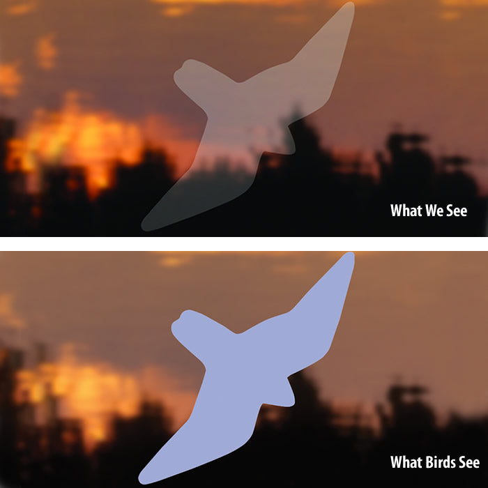 Window Strike Patterns Bird-Safe® Window Stike Decals save birds from crashing into windows ...