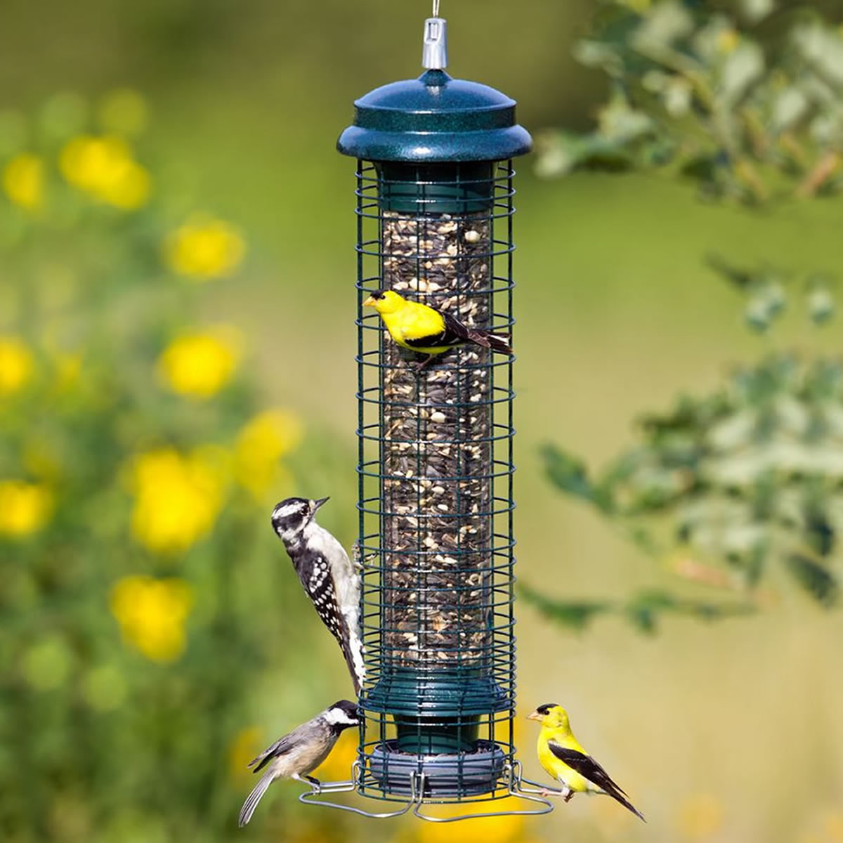 Brome Squirrel Solutions 150 Tube Feeder