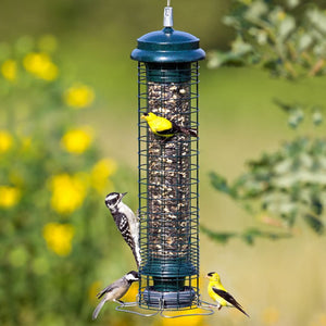 Brome Squirrel Solutions 150 Tube Feeder