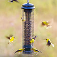 Brome Squirrel Solutions 150 Tube Feeder with birds feeding and flying around it, showcasing its weight-activated, squirrel-proof design and multiple feeding perches.