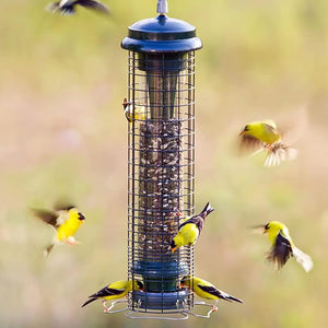 Brome Squirrel Solutions 150 Tube Feeder with birds feeding and flying around it, showcasing its weight-activated, squirrel-proof design and multiple feeding perches.