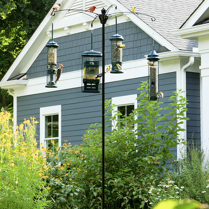 Brome BirdsUP Versa Pole System set up in a garden, featuring multiple bird feeders hanging from a sturdy pole in front of a house.