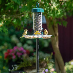 Brome Tube Solution 100 Podium Kit bird feeder with birds perched, showcasing chew-proof materials and detachable components for easy maintenance and ventilation.