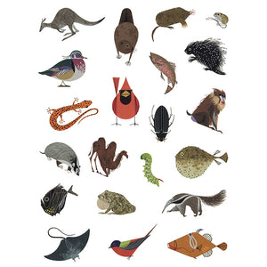 Charley Harper: Tree of Life Sticker Book featuring 67 animal designs from Harper's painting, including skunk, fish, porcupine, platypus, and mole illustrations.