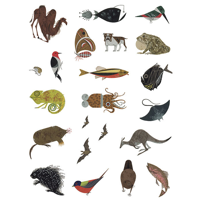 Charley Harper: Tree of Life Sticker Book featuring various animal illustrations from Harper's painting, including birds, fish, and moles, in multiple sizes for diverse uses.