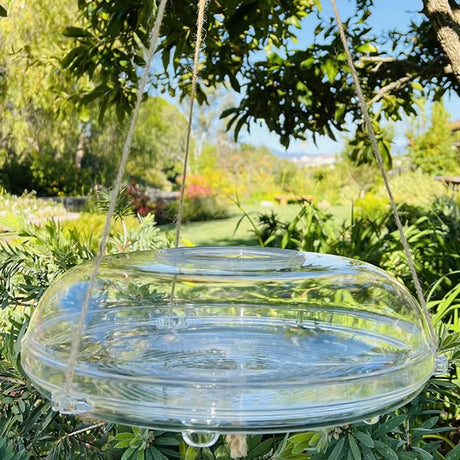 UFO Bird Feeder hanging from a tree, made of clear acrylic, showing top entry for birds and built-in drainage for fresh seeds.