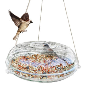 UFO Bird Feeder with a sparrow flying nearby, designed for easy refills and less mess. Birds enter from the top for birdwatching.