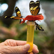 Butter-fi™ Handheld Butterfly Feeder, Set of 2, shown held by a hand, featuring butterfly designs on a clear tube for feeding.